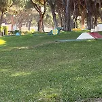 @ Aldeia Acoteias